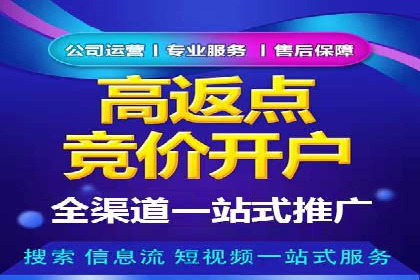 百度竞价策略成功案例：如何做到日赚千元